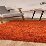 Shag Carpet