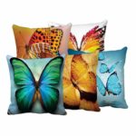 butter fly cusins covers